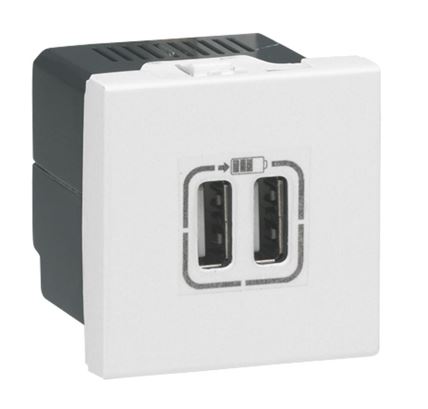 Plastron 45 x 45 - 2 x USB Type A /F - 230 V / 5 V 1.5 A - Blanc